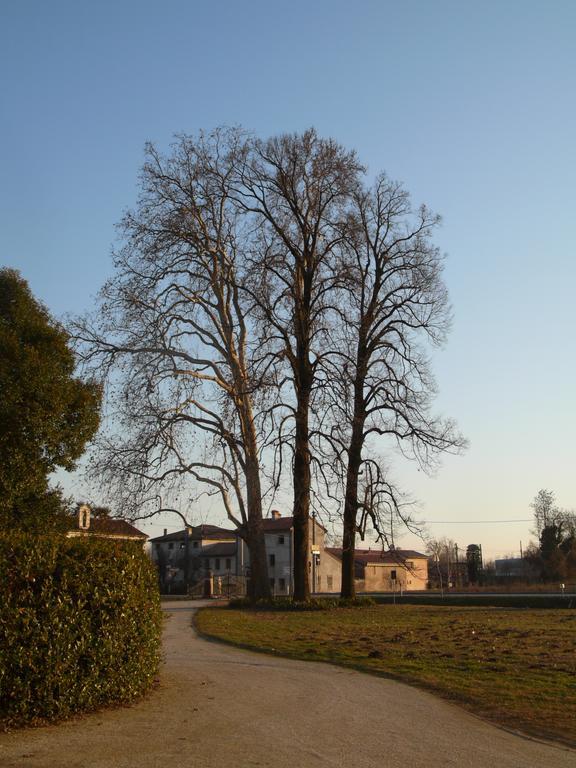 B&B Giardino Jappelli Rosà Exterior foto